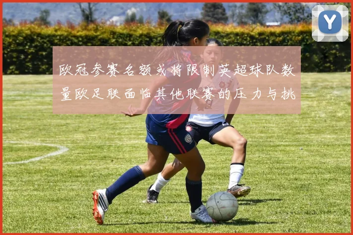 欧冠参赛名额或将限制英超球队数量欧足联面临其他联赛的压力与挑战
