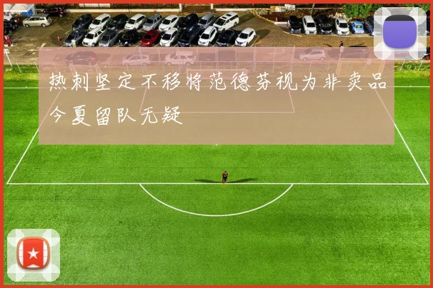 热刺坚定不移将范德芬视为非卖品今夏留队无疑